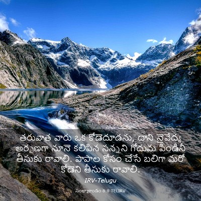 Picture 03 - సంఖ్యాకాండం 8:8 TELIRV - తరువాత వారు ఒక - Bible Verse Picture