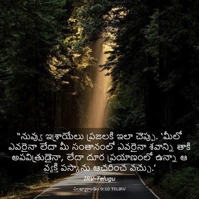 Picture 03 - సంఖ్యాకాండం 9:10 TELIRV - “నువ్వు ఇశ్రాయేలు - Bible Verse Picture