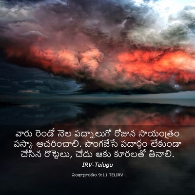 Picture 03 - సంఖ్యాకాండం 9:11 TELIRV - వారు రెండో నెల - Bible Verse Picture