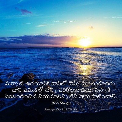 Picture 03 - సంఖ్యాకాండం 9:12 TELIRV - మర్నాటి ఉదయానికి - Bible Verse Picture