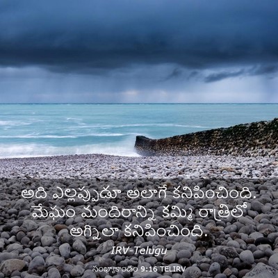 Picture 03 - సంఖ్యాకాండం 9:16 TELIRV - అది ఎల్లప్పుడూ - Bible Verse Picture