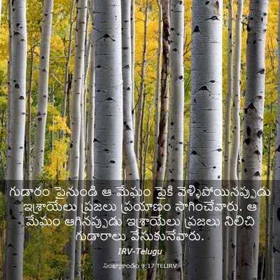 Picture 03 - సంఖ్యాకాండం 9:17 TELIRV - గుడారం పైనుండి ఆ - Bible Verse Picture