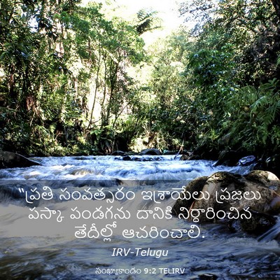 Picture 03 - సంఖ్యాకాండం 9:2 TELIRV - “ప్రతి సంవత్సరం - Bible Verse Picture
