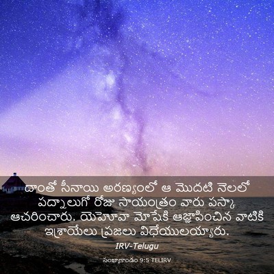 Picture 03 - సంఖ్యాకాండం 9:5 TELIRV - దాంతో సీనాయి - Bible Verse Picture