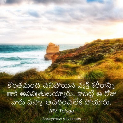 Picture 03 - సంఖ్యాకాండం 9:6 TELIRV - కొంతమంది చనిపోయిన - Bible Verse Picture