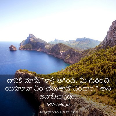 Picture 03 - సంఖ్యాకాండం 9:8 TELIRV - దానికి మోషే - Bible Verse Picture