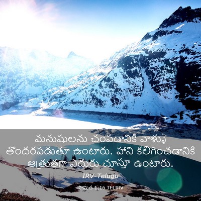 Picture 03 - సామెత 1:16 TELIRV - మనుషులను - Bible Verse Picture