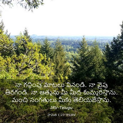 Picture 03 - సామెత 1:23 TELIRV - నా గద్దింపు మాటలు - Bible Verse Picture