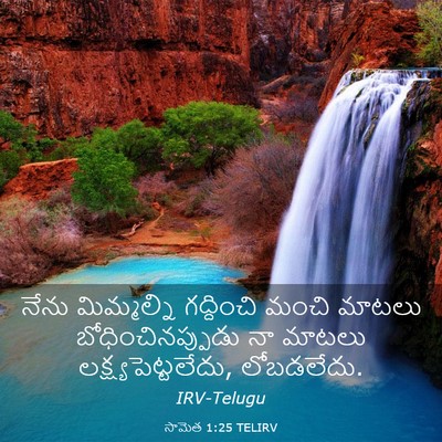 Picture 03 - సామెత 1:25 TELIRV - నేను మిమ్మల్ని - Bible Verse Picture