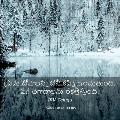 Picture 03 - సామెత 10:12 TELIRV - ప్రేమ - Bible Verse Picture