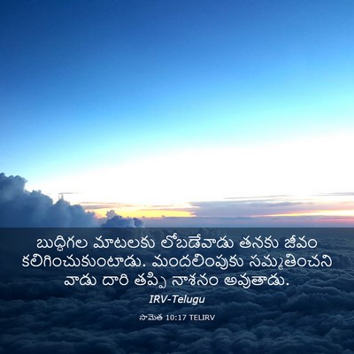 Picture 03 - సామెత 10:17 TELIRV - బుద్ధిగల మాటలకు - Bible Verse Picture