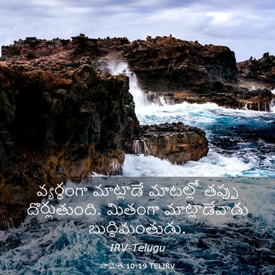 Picture 03 - సామెత 10:19 TELIRV - వ్యర్థంగా - Bible Verse Picture