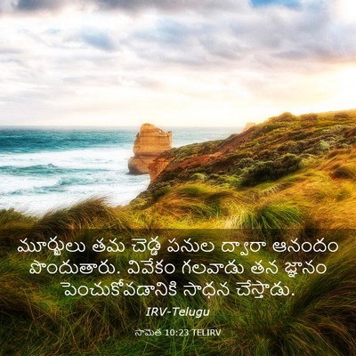 Picture 03 - సామెత 10:23 TELIRV - మూర్ఖులు తమ చెడ్డ - Bible Verse Picture