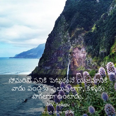 Picture 03 - సామెత 10:26 TELIRV - సోమరిని పనికి - Bible Verse Picture