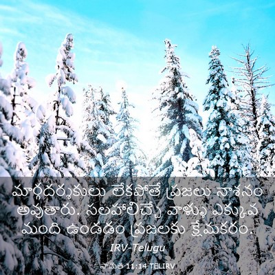 Picture 03 - సామెత 11:14 TELIRV - మార్గదర్శకులు - Bible Verse Picture