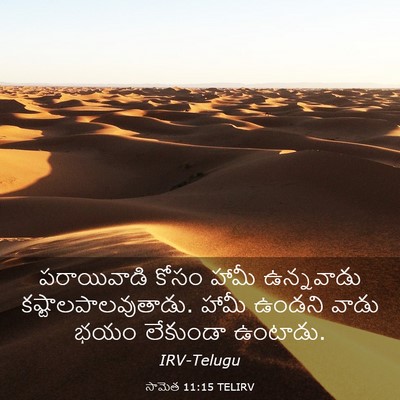 Picture 03 - సామెత 11:15 TELIRV - పరాయివాడి కోసం - Bible Verse Picture