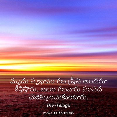 Picture 03 - సామెత 11:16 TELIRV - మృదు స్వభావం గల - Bible Verse Picture