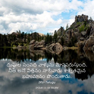 Picture 03 - సామెత 11:18 TELIRV - దుష్టుల సంపద - Bible Verse Picture
