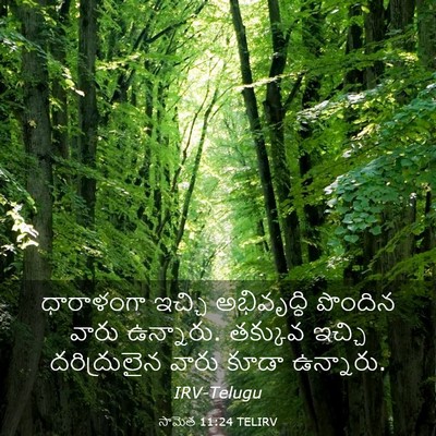 Picture 03 - సామెత 11:24 TELIRV - ధారాళంగా ఇచ్చి - Bible Verse Picture