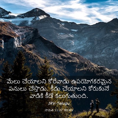Picture 03 - సామెత 11:27 TELIRV - మేలు చేయాలని - Bible Verse Picture