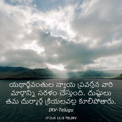 Picture 03 - సామెత 11:5 TELIRV - యథార్థవంతుల న్యాయ - Bible Verse Picture