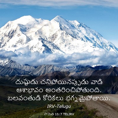 Picture 03 - సామెత 11:7 TELIRV - దుష్టుడు - Bible Verse Picture