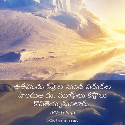 Picture 03 - సామెత 11:8 TELIRV - ఉత్తముడు కష్టాల - Bible Verse Picture