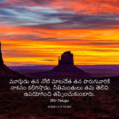 Picture 03 - సామెత 11:9 TELIRV - మూర్ఖుడు తన నోటి - Bible Verse Picture