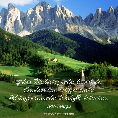 Picture 03 - సామెత 12:1 TELIRV - జ్ఞానం - Bible Verse Picture