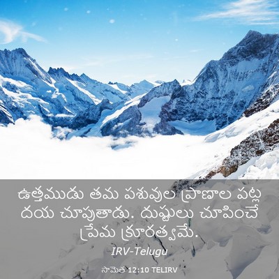 Picture 03 - సామెత 12:10 TELIRV - ఉత్తముడు తమ - Bible Verse Picture