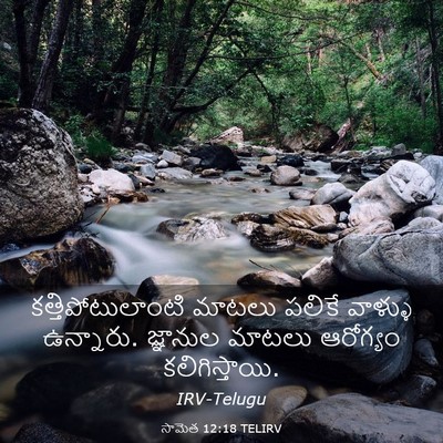 Picture 03 - సామెత 12:18 TELIRV - కత్తిపోటులాంటి - Bible Verse Picture