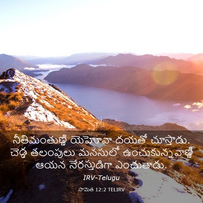 Picture 03 - సామెత 12:2 TELIRV - నీతిమంతుణ్ణి - Bible Verse Picture