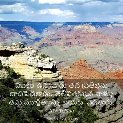 Picture 03 - సామెత 12:23 TELIRV - వివేకం ఉన్నవాడు - Bible Verse Picture