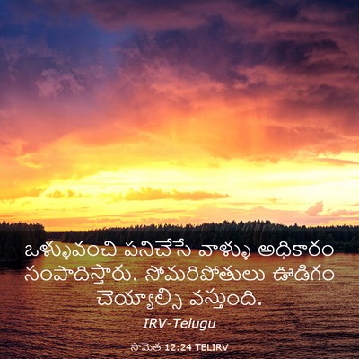 Picture 03 - సామెత 12:24 TELIRV - ఒళ్ళువంచి పనిచేసే - Bible Verse Picture