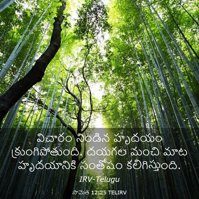 Picture 03 - సామెత 12:25 TELIRV - విచారం నిండిన - Bible Verse Picture