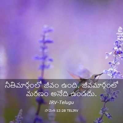 Picture 03 - సామెత 12:28 TELIRV - నీతిమార్గంలో జీవం - Bible Verse Picture