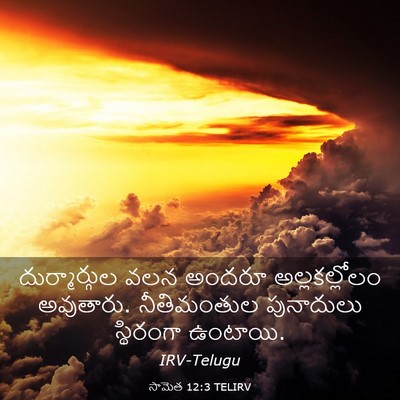 Picture 03 - సామెత 12:3 TELIRV - దుర్మార్గుల వలన - Bible Verse Picture