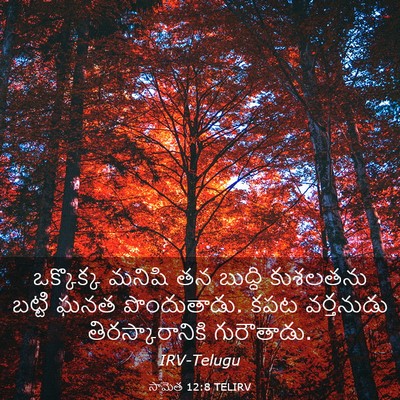 Picture 03 - సామెత 12:8 TELIRV - ఒక్కొక్క మనిషి తన - Bible Verse Picture