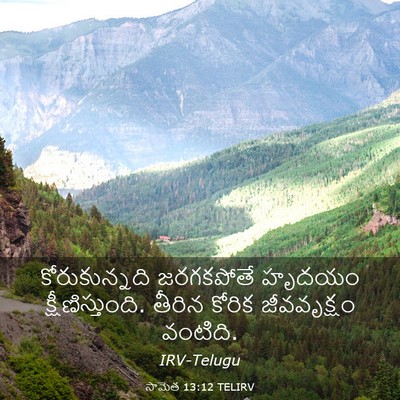 Picture 03 - సామెత 13:12 TELIRV - కోరుకున్నది - Bible Verse Picture