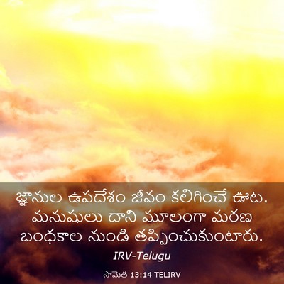 Picture 03 - సామెత 13:14 TELIRV - జ్ఞానుల ఉపదేశం - Bible Verse Picture