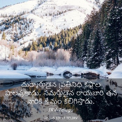 Picture 03 - సామెత 13:17 TELIRV - దుర్మార్గుడైన - Bible Verse Picture