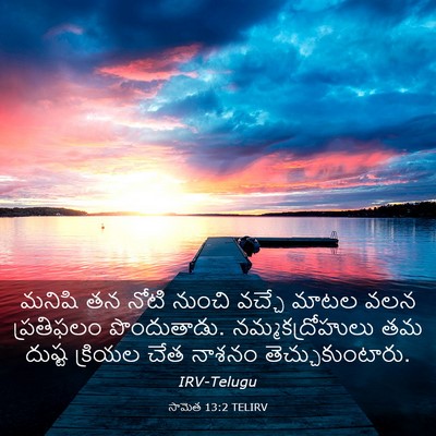 Picture 03 - సామెత 13:2 TELIRV - మనిషి తన నోటి - Bible Verse Picture