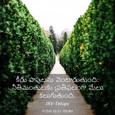 Picture 03 - సామెత 13:21 TELIRV - కీడు పాపులను - Bible Verse Picture