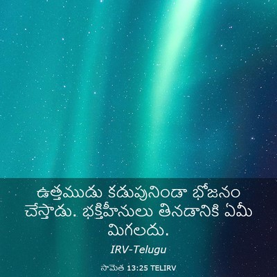 Picture 03 - సామెత 13:25 TELIRV - ఉత్తముడు - Bible Verse Picture