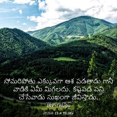 Picture 03 - సామెత 13:4 TELIRV - సోమరిపోతు - Bible Verse Picture