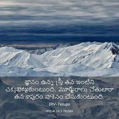Picture 03 - సామెత 14:1 TELIRV - జ్ఞానం ఉన్న - Bible Verse Picture