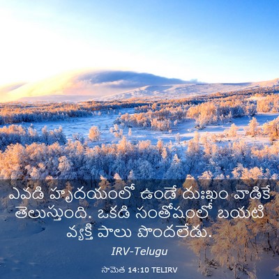 Picture 03 - సామెత 14:10 TELIRV - ఎవడి హృదయంలో ఉండే - Bible Verse Picture