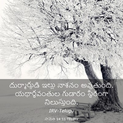 Picture 03 - సామెత 14:11 TELIRV - దుర్మార్గుడి - Bible Verse Picture