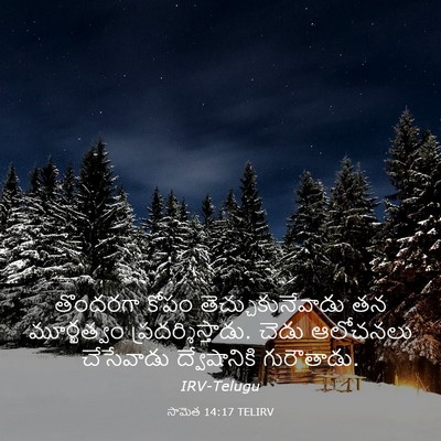 Picture 03 - సామెత 14:17 TELIRV - తొందరగా కోపం - Bible Verse Picture