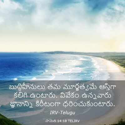 Picture 03 - సామెత 14:18 TELIRV - బుద్ధిహీనులు తమ - Bible Verse Picture